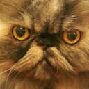 Paul Heaslip - @PaulHeaslip - Twitter