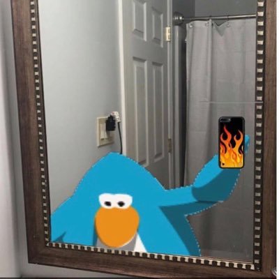 ponchos4penguin's profile picture. 