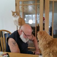 Larry Geist (@larryjgeist) 's Twitter Profile