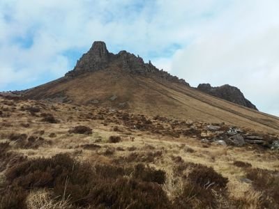 BIOScotland's profile picture. Andrea:
Occupational Therapist | MSc Outdoor Education | Committee Member RCOT Scottish Eastern