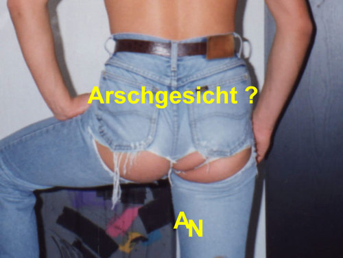 arsch_gesicht's profile picture. Pferde haben Hammergrosse Köpfe. Da klappt das Denken bestimmt besser.