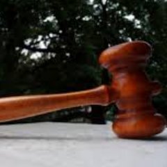 camaradovsky's profile picture. 44y old n still young