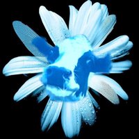 Gene Vaca de Fringe (@vacafringe) 's Twitter Profile