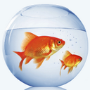 Dan Karp - @DanKarp1 - Twitter