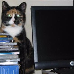 amazing_shinn's profile picture. 