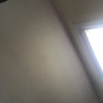 oldaccount1230's profile picture. 