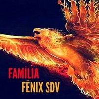 FAMÍLIA FÊNIX SDV🔥 (@familiafenixsdv) 's Twitter Profile
