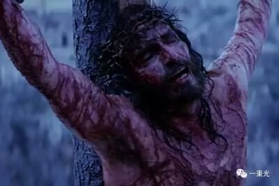 veronica9005's profile picture. 