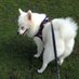指針(TheCryptoDoggy) (@silverfox789123) Twitter profile photo 指針(TheCryptoDoggy) (@silverfox789123) Twitter profile photo