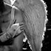 Angel Chavez (@primangelopo) Twitter profile photo Angel Chavez (@primangelopo) Twitter profile photo
