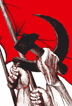 Irremediablemente Chavista, consecuentemente Revolucionario, Bolivariano, Patriota, Socialista, Antiimperialista y Feminista en alma, cuerpo, espíritu y corazón