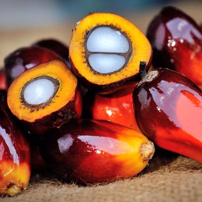 Join Us on the Journey to Sustainable Palm Oil