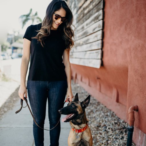 thewildwhiskers's profile picture. Home of The Coolest Apparel For Obsessed Dog Moms & Dog Lovers + Dog Training, Travel & Adventure Tips. Find The Hottest Dog Gifts Here: https://t.co/4NX318fLGz