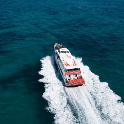 RottnestExpress's profile picture. 