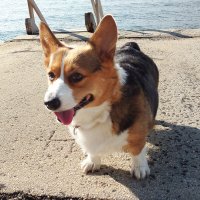 Alison Port (@alison_port) 's Twitter Profile