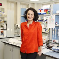 Prof Dr Seda Savas Kizilel - Koç Univ. (@skizilel) 's Twitter Profile