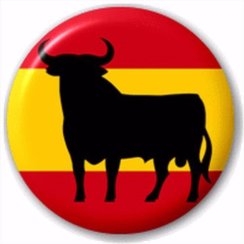 Hasta el rabo... todo es TORO 🇪🇸                                            #España #VamosRafa #TeamESP #LaFamilia #ElCorazónDeEspaña #SomosEquipo 💪