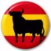 Torito Sports (@toritosports) Twitter profile photo Torito Sports (@toritosports) Twitter profile photo