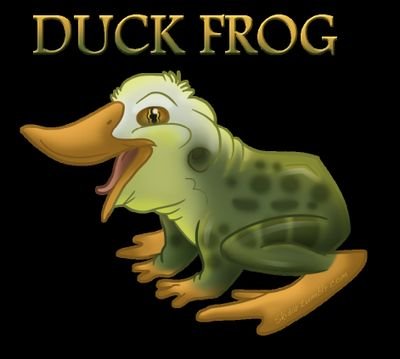 fplduckfrog's profile picture. 