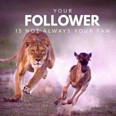 #Entrepreneur #Investor #PromptEngineer #AIenthusiast #BuddingWriter Likes = Bookmarks, Retweets = endorsements & Tweets are my humble opinions