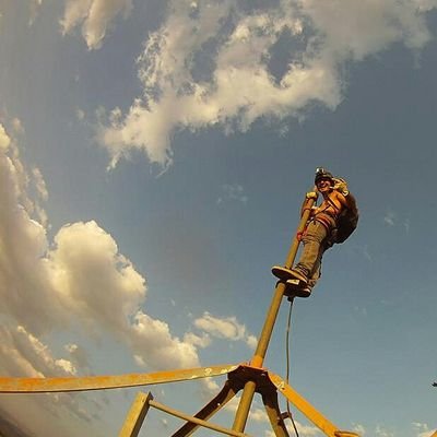 cutulio's profile picture. Bald man, not vegan, ethical hacker and... fuck off.