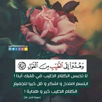 هبه عماره (@192hebaomara) Twitter profile photo