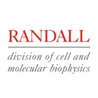 Randall Division (@randalldivision) 's Twitter Profile