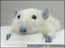 R0513_'s profile picture. West Walian.