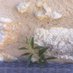Ahabounette🌿 (@ahabounette) Twitter profile photo Ahabounette🌿 (@ahabounette) Twitter profile photo