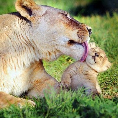 udobiz1's profile picture. Think PEACE,dream PEACE and live PEACEFULLY. Do some thing good today that you future self will thank you for. Udobiz1@gmail.com +2348031164726