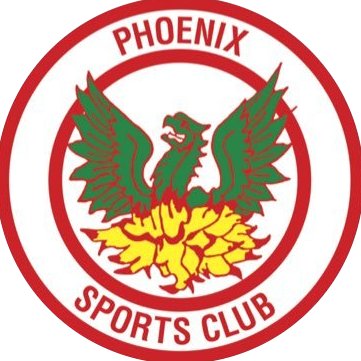 Ex-Phoenix Sports Football Team in Kent Youth League. Disbanded May 2021