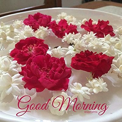 Amit807370's profile picture. 