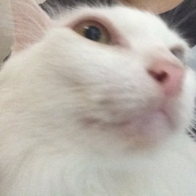 budding_b's profile picture.