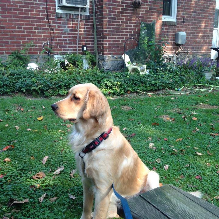 skelley_joe's profile picture. 'Follow Me, & I will Follow you'