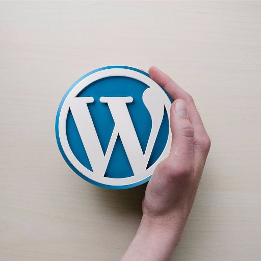 Get Hands on WordPress training from our Test Drive Facility