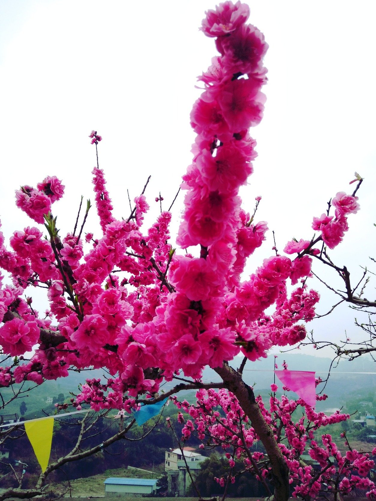 leedom0485's profile picture. 