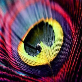 Lancypatel_27's profile picture. live life like there is no tomorrow