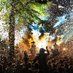 Podiumkunstfestivals (@defestivals) Twitter profile photo Podiumkunstfestivals (@defestivals) Twitter profile photo