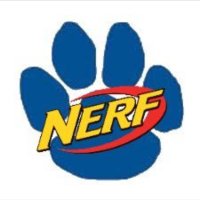Blaine Nerf 2021 (@blainenerf) 's Twitter Profile