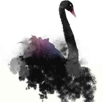 areej_omran's profile picture. 