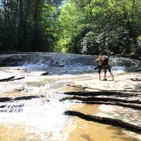 Tim Daugherty (@daugherty3_tim) 's Twitter Profile