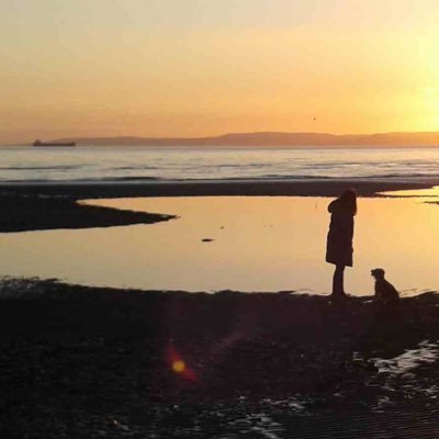 ElissaWilson9's profile picture. Dementia Friendly Prestwick, Friends of the Broadway Prestwick, dogs, books, more books, a few more books