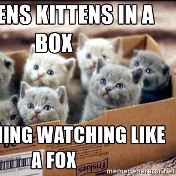 This account shows support to other content creators and advertises different things to keep you all informed and engaged. We also add humor just for fun!