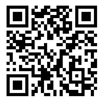 Cyber Security Analyst