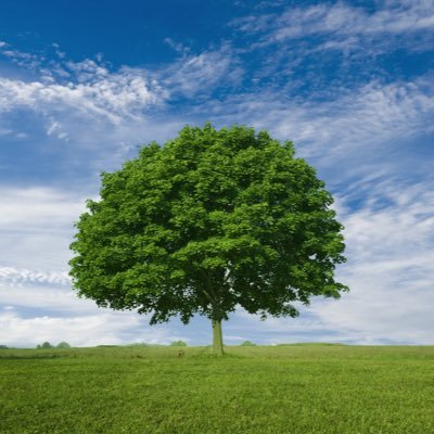 WinLeibo_pc's profile picture. Therapy for depression, anxiety, and bipolar disorder in Pittsburgh, PA. Heidi Leibovich LCSW and Scott Windham, LCSW