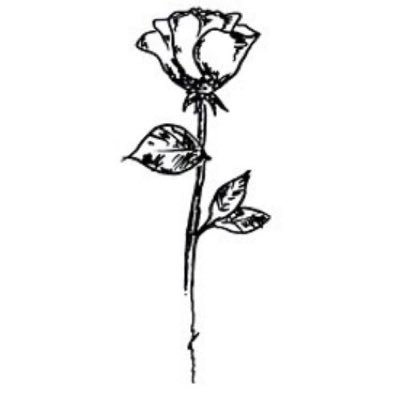 boldthoughts_'s profile picture. “❝ I would define, in brief, the poetry of words as the rhythmical creation of Beauty. ❞”