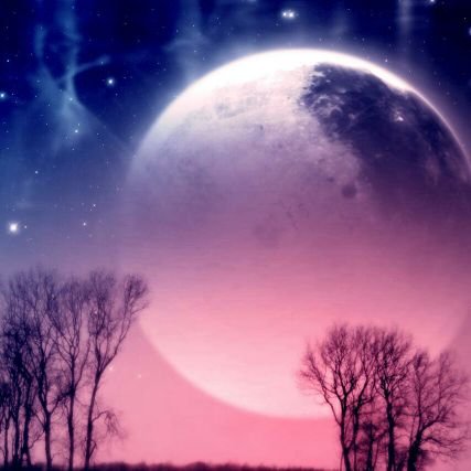 liliana_giama's profile picture. 