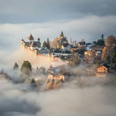 babbleon626's profile picture. 