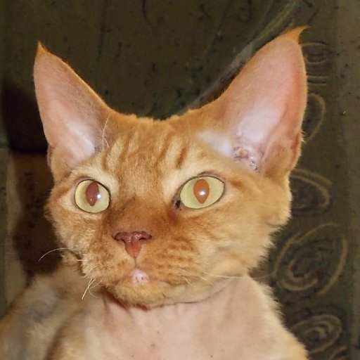 inagoody's profile picture. 