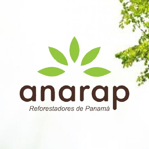 Cuenta Oficial de la Asociación Nacional de Reforestadores y Afines de Panamá. #SomosANARAP